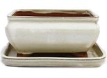 Ciotola Bonsai Con Piattino Gr. 2 - Beige Chiaro - Quadrato - Modello G81 - L 14,5 Cm - P 11,5 Cm - H 6,5 Cm
