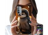 Custodia Per Motorola Moto G52 / G82 - Pinguino Carino, Tuptak, Madagascar Designs