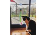 Nobby "Ventosa"", Giocattolo Per Gatti Con Erba Gatta 45 Cm"