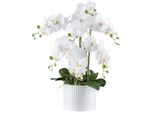 Orchidea Phalaenopsis 60Cm Bianca - Realtouch In Elegante Vaso Di Ceramica 19,5X15Cm
