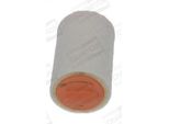 Champion CAF101066R - Filtro Aria Oe 13718509032 Per R56, R57, R55, R60, R58, R61, R59