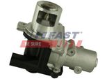 Fast FT60214 Valvola Egr Per Renault Clio Iii Hatchback (BR0/1, CR0/1) Valvola Di Ricircolo Dei Gas Di Scarico
