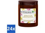 Botanica Di Air Wick – Candela Profumata – Vaniglia E Magnolia – 40 Ore Di Durata – Confezione Risparmio – 24 Pezzi