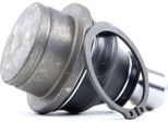 Ridex 2462S0347 - Traggelenk Oe 40160 EB300, Hinten Oben FüR Pathfinder Iii (R51), Patrol Vi (Y62), Xterra (N50)