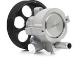 Stark SKHP-0540189 - Servo Pompa Oe 491A05303R Per Primastar (X83), Primera (P12), Movano (X70), Vivaro (J7), Vivaro (F7), Vivaro A (E7), Vivaro A (X83), Avantime (DE0), Espace Iii (Je), Espace Iv (Jk), Laguna Iii, Laguna I, Laguna Ii, Trafic Ii (Jl), Trafic Ii (Fl), Trafic Ii (El), Vel Satis (BJ0)