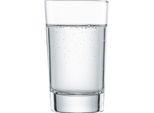 Schott Zwiesel Allround Bar Special 4 StüCk 123636