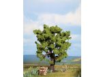 Noch ( 21760 ) Quercia 0,H0,TT,N