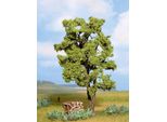 Noch 21660 - Acacia A Più Tronchi 15 Cm