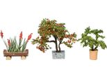 Noch 14020 Piante Ornamentali In Vasi Da Fiori 3 Vasi Da Fiori