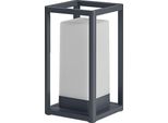 Ledvance Luce Esterna A Led Smart+ Telaio Da Tavolo Maxi Multicolore Usb Rgb + W Dimmerabile Rgbw Cambio Colore / Multicolore / Bianco Caldo 4058075763241