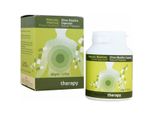 Mastiha Therapy Chios Mastiha 350 Mg 90 Capsule