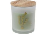 Candela Profumata Aroma Di Rogito, Vetro/Mdf, 8,8X10 Cm, Eucalipto