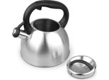 Bollitore Carl Schmidt Sohn-Bonn, Acciaio Inossidabile, 2 L, Argento