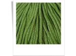 Cordoncini In Cotone - Cordoncini Intrecciati 5 Mm - 50 M Verde Muschio Lucido
