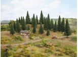 Noch 26820 H0,TT Modello Di Abete, 25 Pezzi, Altezza 5 - 14 Cm