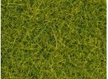 Noch 08363 - Erba Da Spargere Verde Chiaro, 4 Mm, 20 G 0,H0,TT,N,Z
