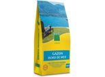 Prato - Bhs - Seaside Lawn 10Kg - Resistente Al Vento, Alla Siccità E Alla Salsedine - Bellissimo Prato Estivo, Estetico E Robusto.