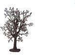 Noch 22010 Albero Vuoto "Faggio"" Alto 13 Cm"