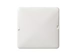 Coperchio Cieco A Scatto Elso, 2-Gang 80X122 Renovation Bianco Puro 503034
