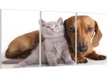Piastre Coprifornelli 3 Pezzi 30X52 Vetro Coprifornelli In Ceramica, Cane Gatto