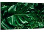 Piastra Di Copertura Del Piano Cottura 80X52Cm Copripiastra In Ceramica 1 Pezzo, Verde Monstera