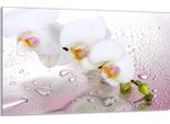 Piastra Di Copertura Del Piano Cottura 80X52Cm 1 Pezzo In Ceramica, Bianco Orchidea