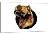 Piastra Di Copertura Del Piano Cottura 80X52Cm 1 Pezzo In Ceramica, Bianco Dinosauro