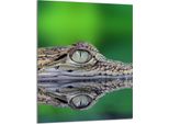 Piastra Di Copertura Del Piano Cottura 40X52 Coperchio Del Piano Cottura In Ceramica Paraspruzzi Piatto In Vetro Tagliere Decorativo, Verde Aligator