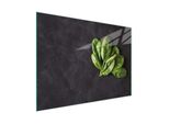 Tagliere Piastra Di Copertura Per Fornelli Tagliere In Vetro Multiplo 30X22 Cm Basilico D'ardesia