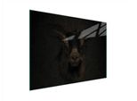 Tagliere In Vetro 40X30 Koza
