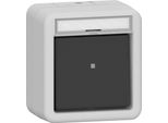 Interruttore A Bilanciere Gira 315230 Contatto Na Smk Bsf Wg Ap Gr (315230)