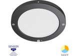 Braytron Led Plafoniera Rilevatore Di Movimento Lampada Sensore Scale Plafoniera Corridoio 20W Nero
