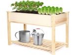 Cassetta Per Piante Da Esterno Frobin - Letto Rialzato In Legno - Tavolo Per Piantine - Fioriera - Letto Rialzato Per Giardino E Balcone