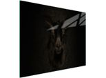 Tagliere In Vetro 52X30 Koza