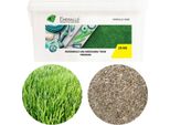 Erba Di Rigenerazione Barenbrug Emeralld Premium15Kg