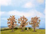 Noch ( 25112 ) Alberi Da Frutto, Fioritura Rosa, 3 Pezzi, Altezza 8 Cm H0,TT