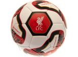 Liverpool Fc - Calcio 'Tracer' TA10686 (5) (Rosso/Bianco/Nero)