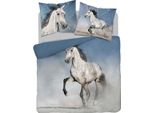 Detexpol Biancheria Da Letto In Cotone 220X200 Cavallo 3734 A 2 Federe 70X80 Olanda Natura 69