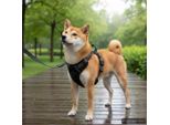 Vidaxl Pettorina Per Cani Riflettente Regolabile Blu L