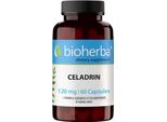 Bioherba Celadrin 120 Mg