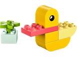 Borse Di Reclutamento Lego® 30673 - Meine Erste Ente