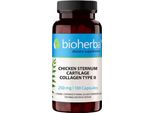 Collagene Di Pollo Di Tipo Ii 250 Mg 100 Capsule
