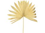 Palmspear Sun Natur Foglie Di Palma Fiori Secchi Decorazioni Ognissanti 30 Pezzi, 30 Pezzi
