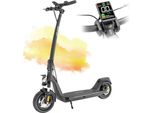 E Scooter Serie C, 48 V 10,4 Ah Batteria Sostituibile, Autonomia 30-50 Km, Motore 500 W Elektromaner