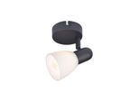 Rabalux Plafoniera Spot E14 Filettatura IP20 Nero Soma
