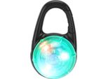 Targhetta Per Cani A Led, Luce Luminosa E Impermeabile Per La Sicurezza Degli Animali Domestici E Dei Gatti All'aperto Di Notte