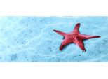 Poster Di Sfondo, Pittura Decorativa, Adesivo In Pvc, Immagine Di Paesaggio Per Acquario, 61 X 41 Cm
