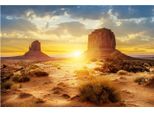 Poster Con Sfondo Acquario In Stile Sole E Deserto, Carta Decorativa Adesiva In Pvc (122 X 50 Cm)