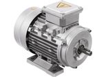 Motore Elettrico - 0,75 Kw - 1400 Giri/Min - IP55 - Albero 14 Mm - 24×13,5×17,5 Cm - Argento