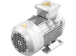 Motore Elettrico - Motore A Corrente Alternata - 1,1 Kw - 1405 Giri/Min - Albero 19 Mm - IP55 - Avvolgimento In Rame - Argento
